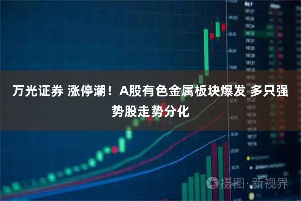 万光证券 涨停潮！A股有色金属板块爆发 多只强势股走势分化